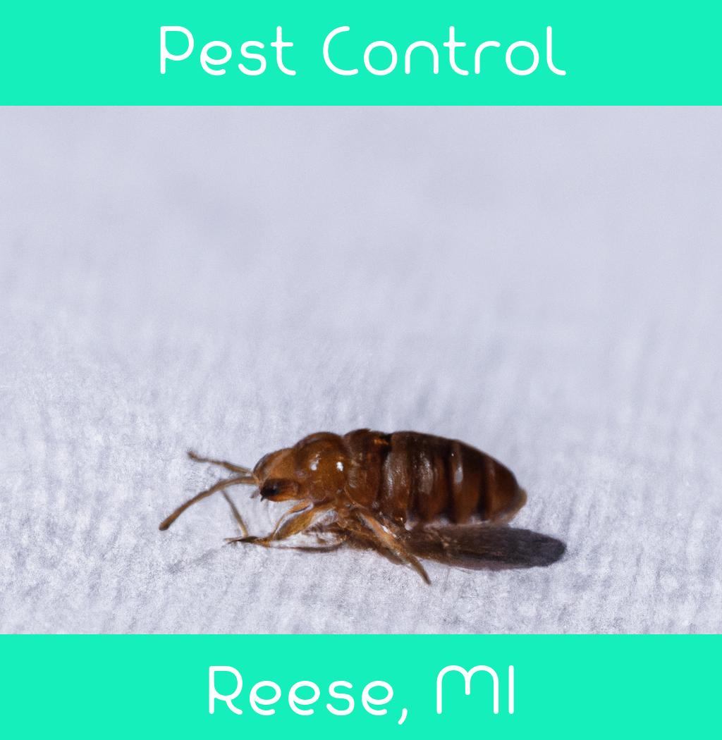 pest control in Reese Michigan