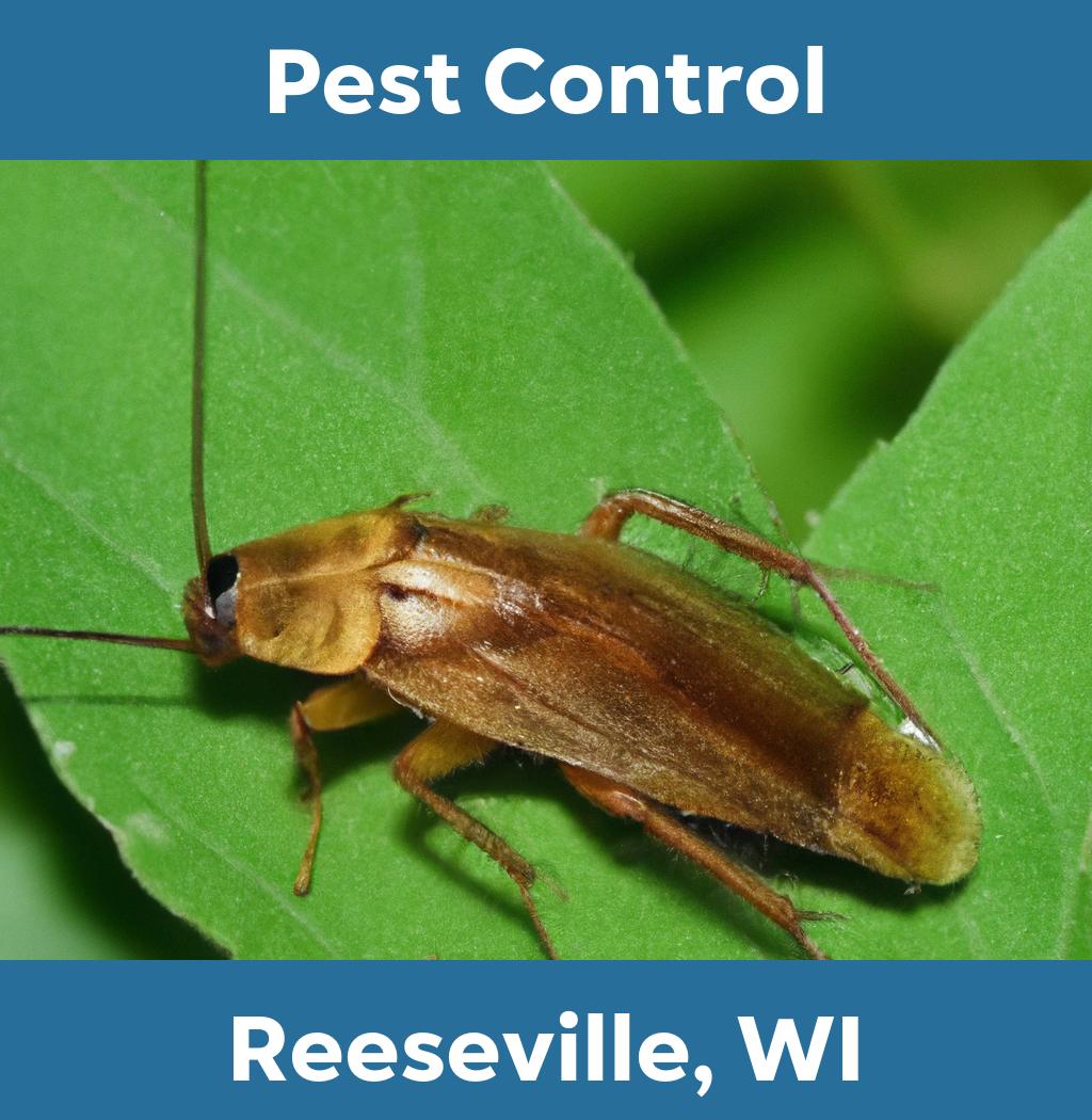 pest control in Reeseville Wisconsin