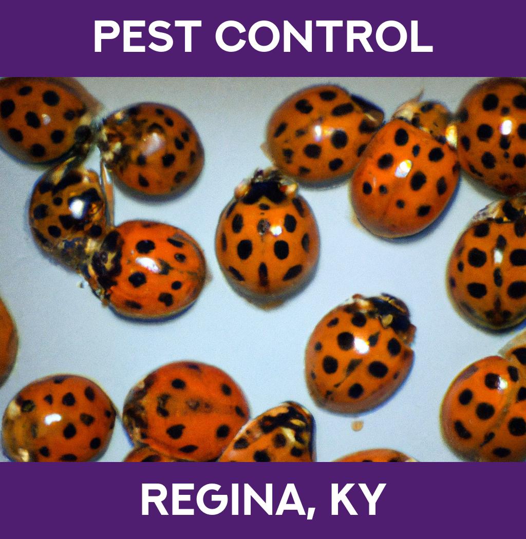 pest control in Regina Kentucky