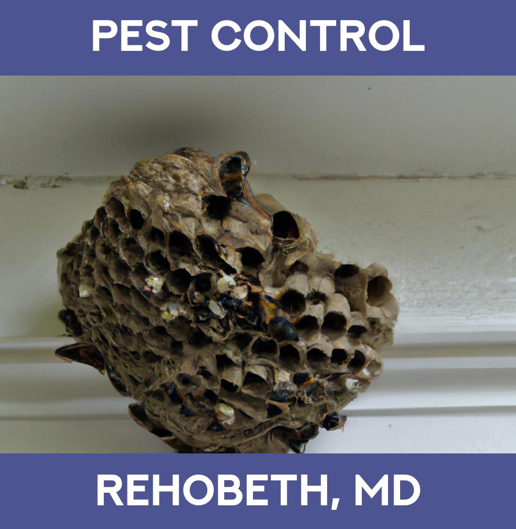 pest control in Rehobeth Maryland