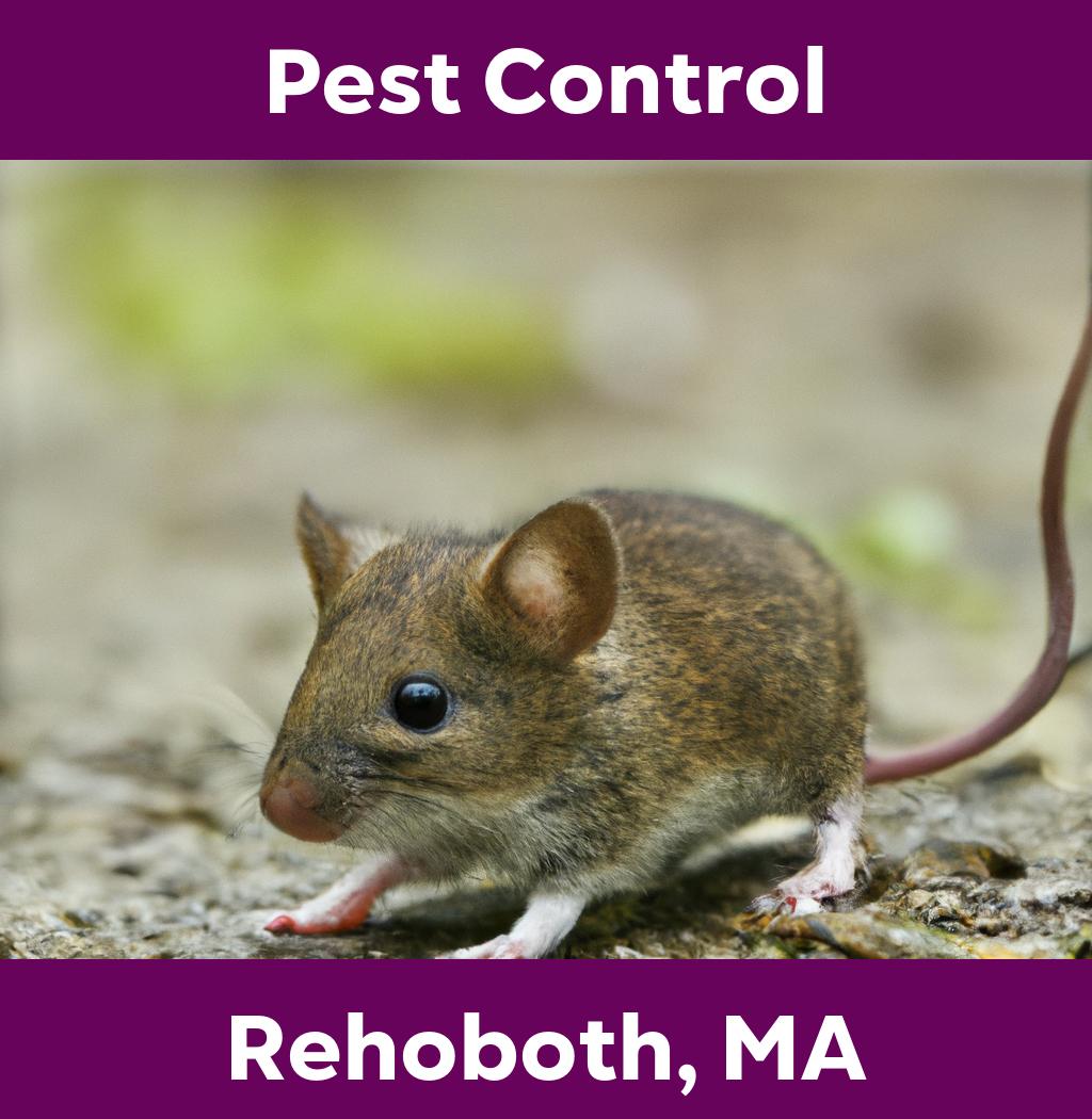 pest control in Rehoboth Massachusetts