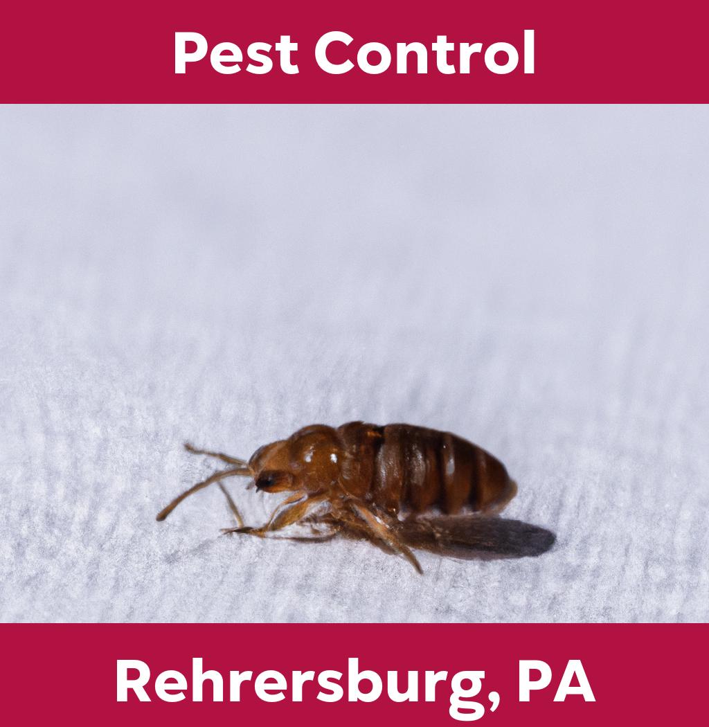 pest control in Rehrersburg Pennsylvania