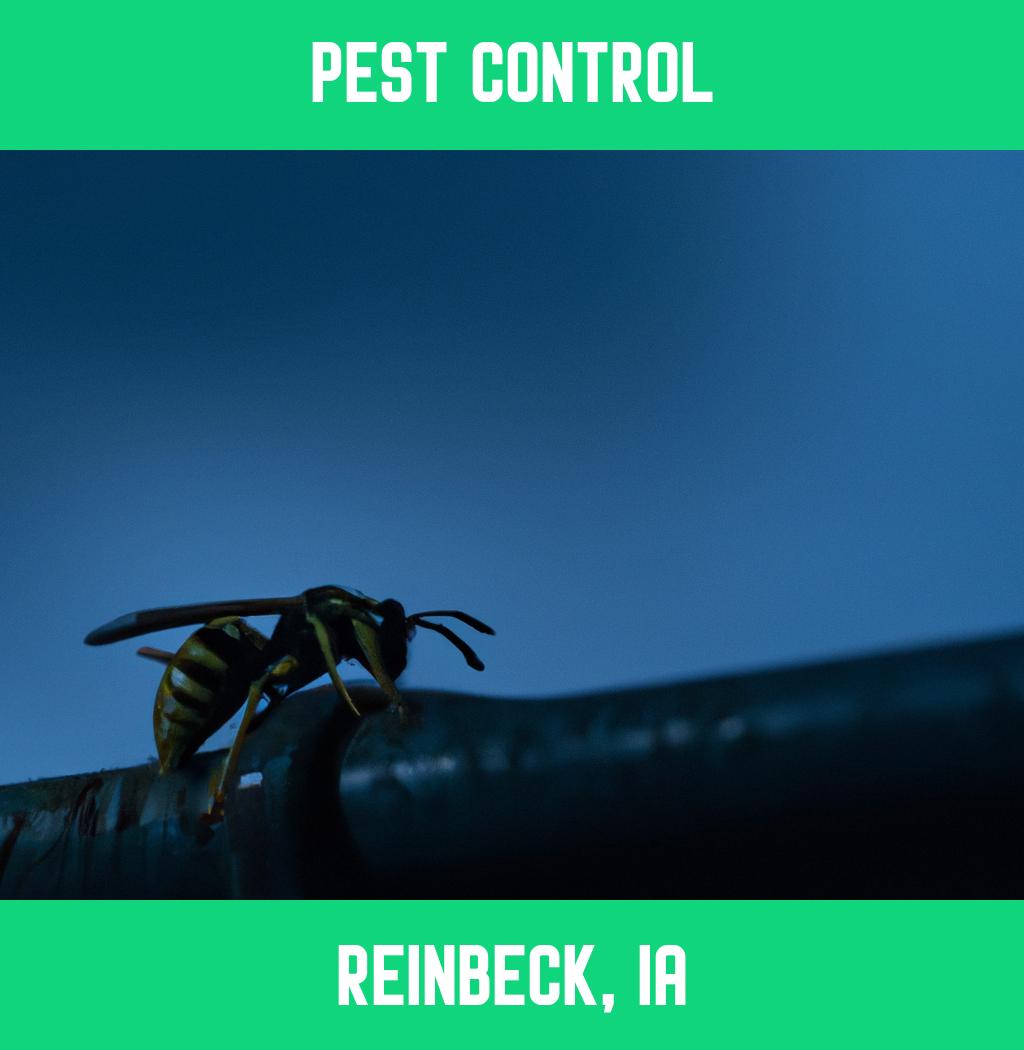 pest control in Reinbeck Iowa
