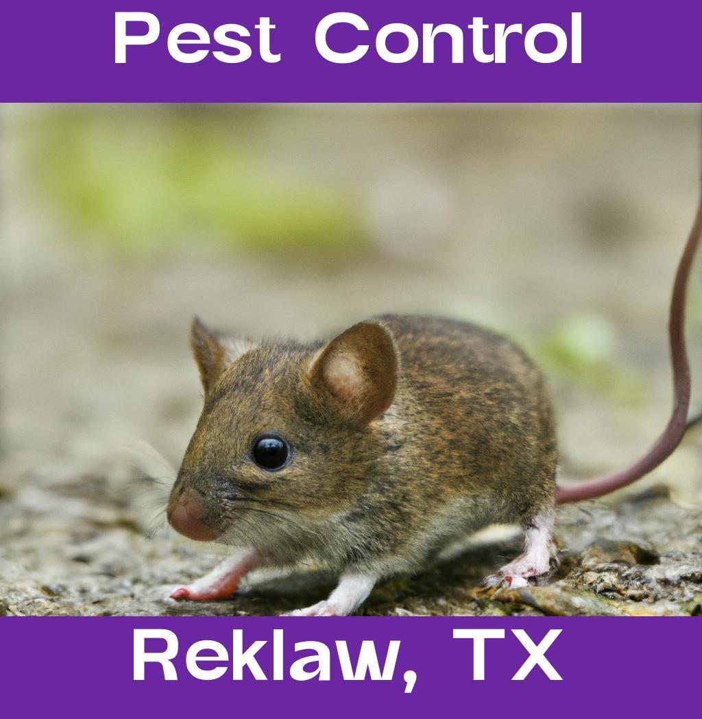 pest control in Reklaw Texas