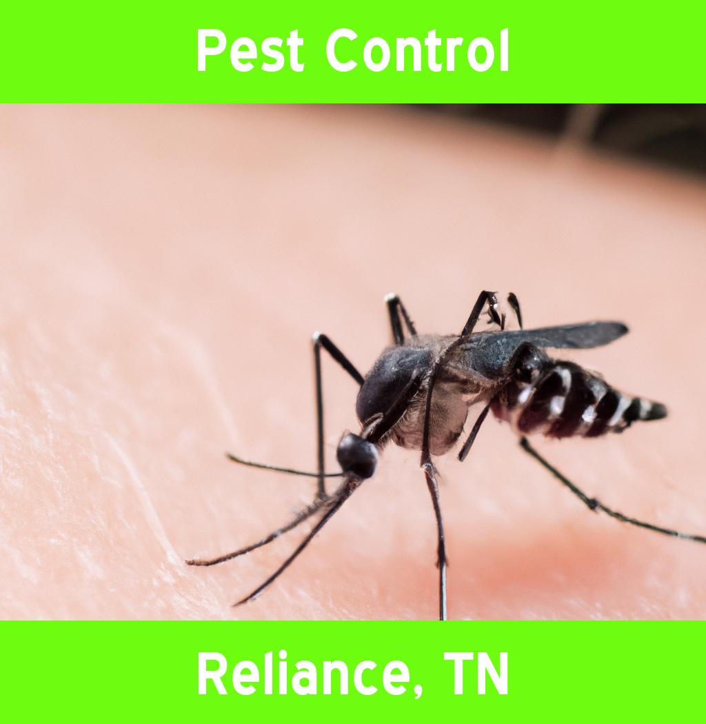 pest control in Reliance Tennessee