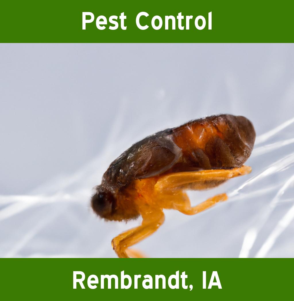 pest control in Rembrandt Iowa
