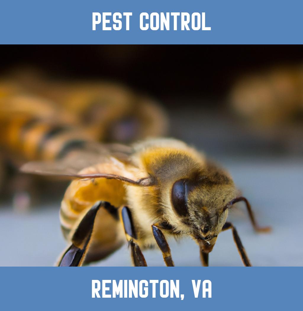 pest control in Remington Virginia