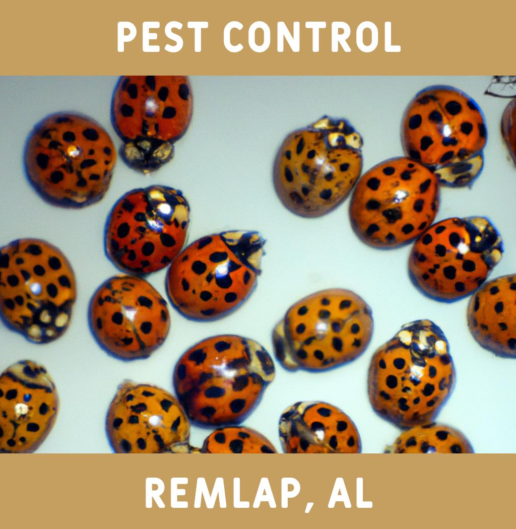 pest control in Remlap Alabama