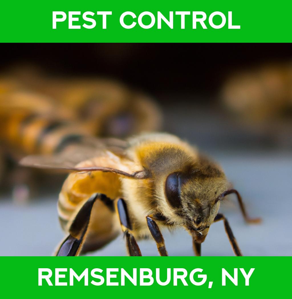 pest control in Remsenburg New York