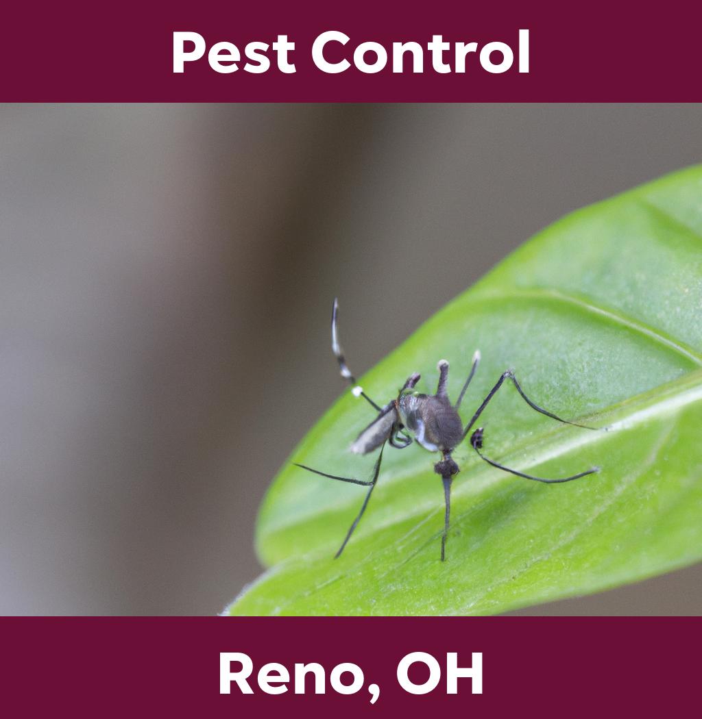 pest control in Reno Ohio