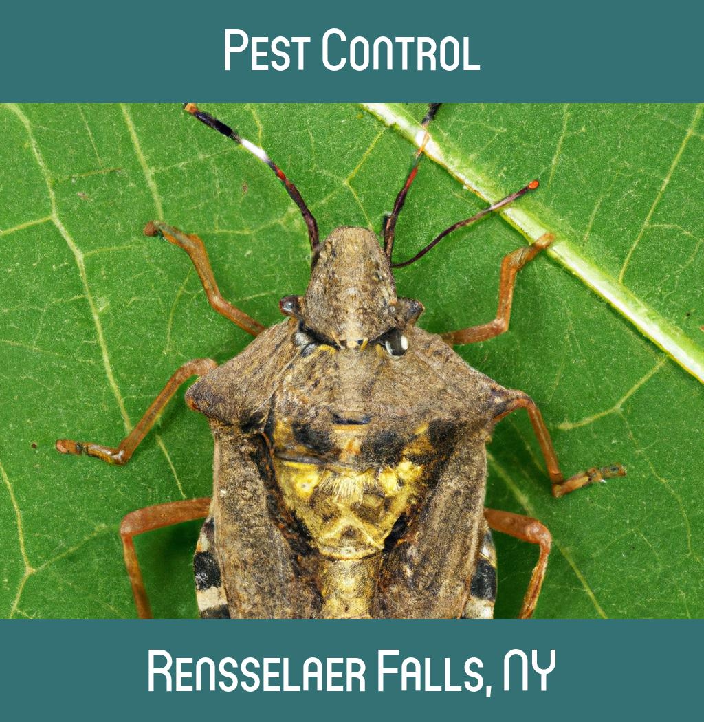 pest control in Rensselaer Falls New York