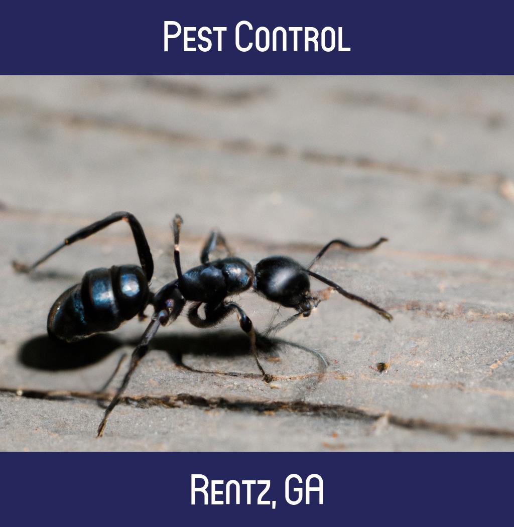 pest control in Rentz Georgia
