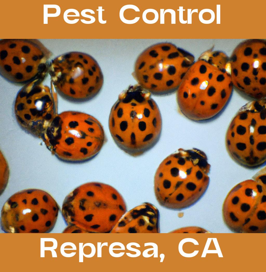 pest control in Represa California