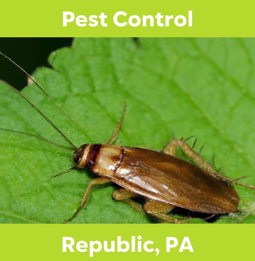 pest control in Republic Pennsylvania