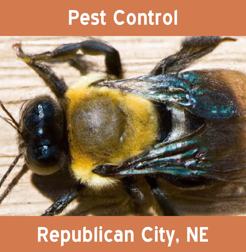 pest control in Republican City Nebraska