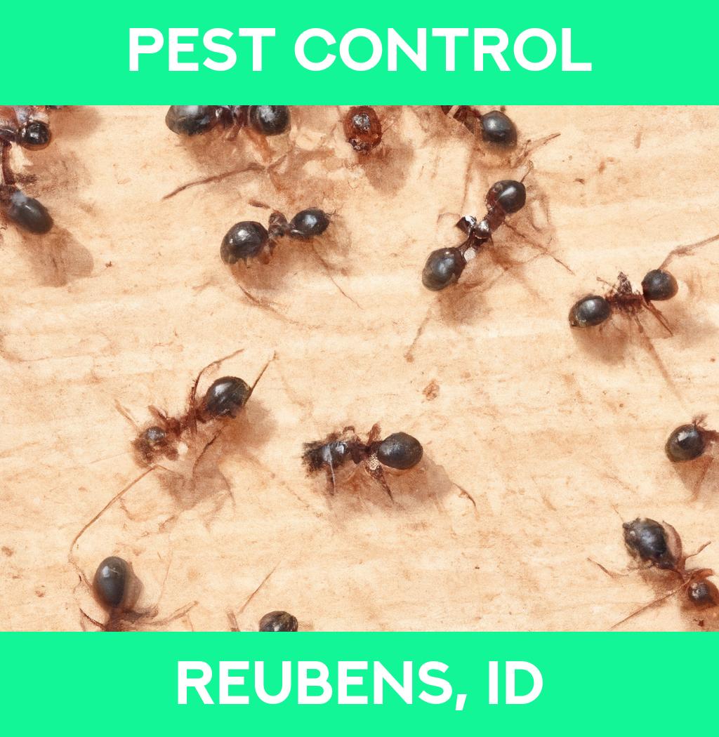pest control in Reubens Idaho