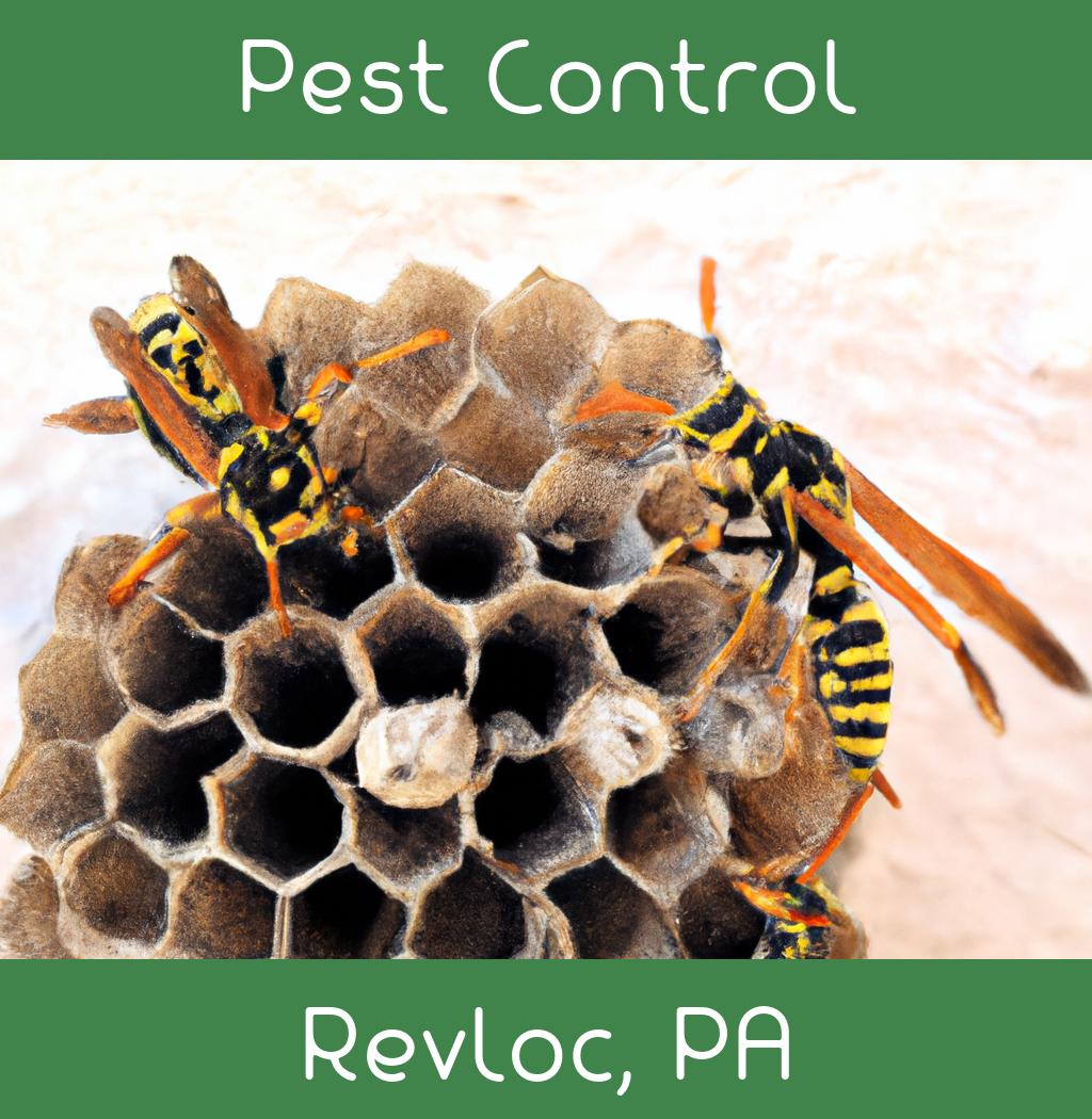 pest control in Revloc Pennsylvania