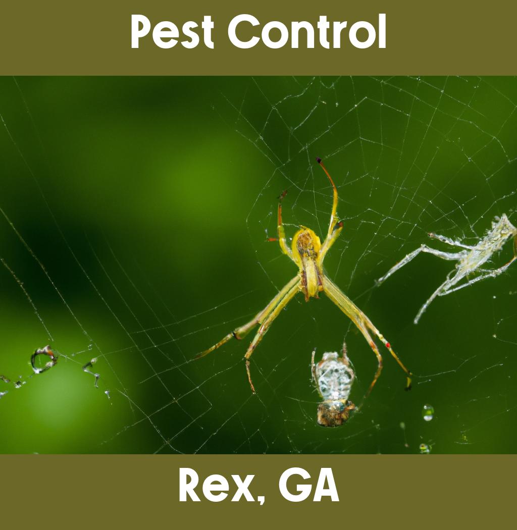 pest control in Rex Georgia