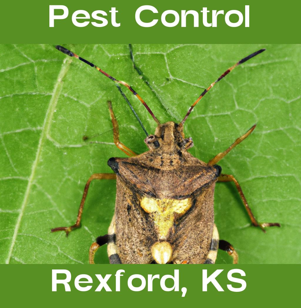 pest control in Rexford Kansas