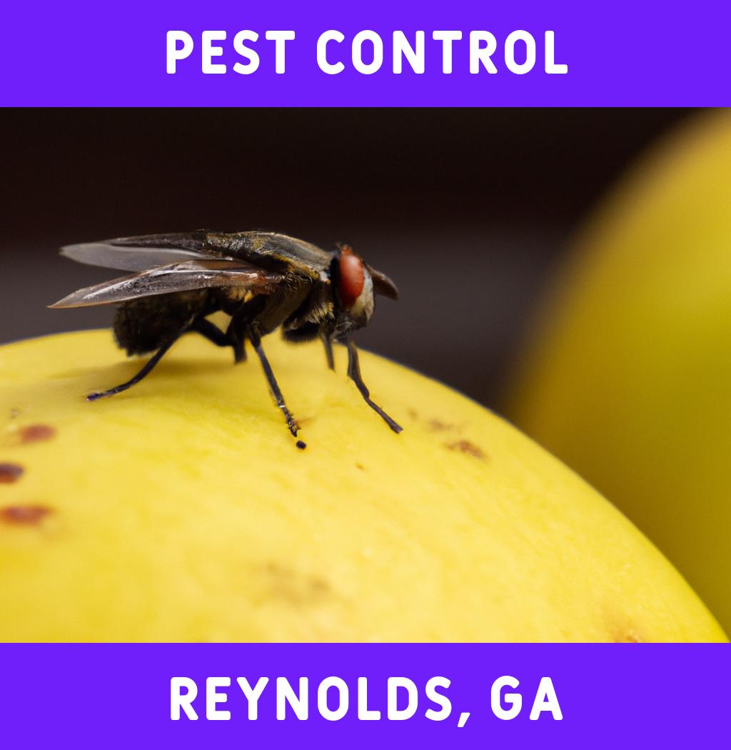 pest control in Reynolds Georgia