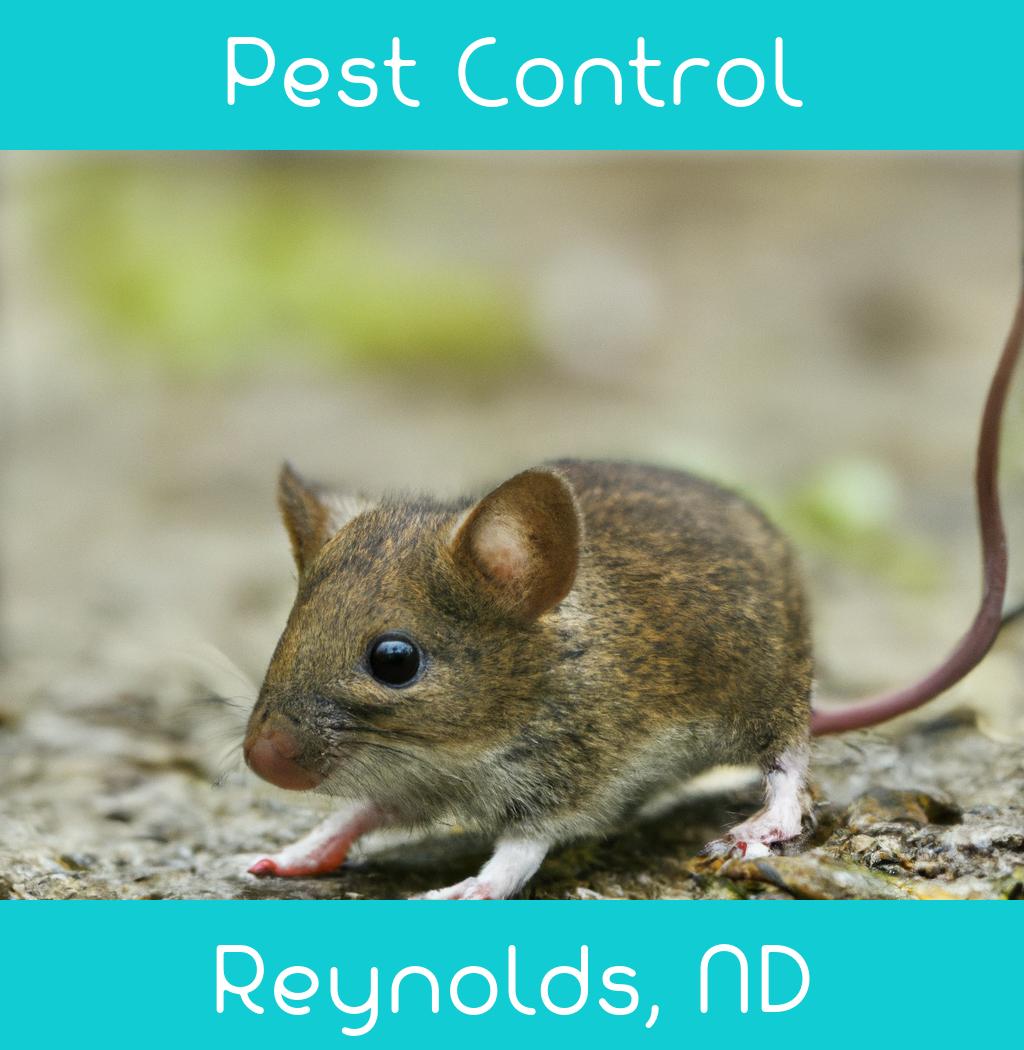 pest control in Reynolds North Dakota