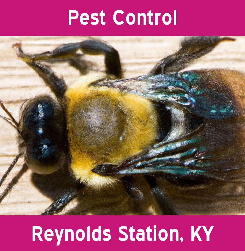 pest control in Reynolds Station Kentucky