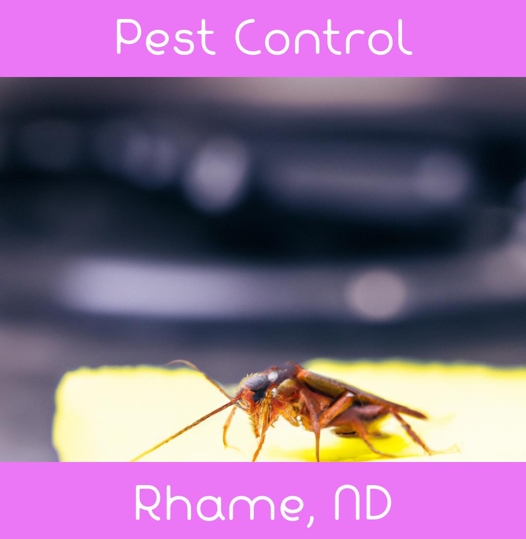 pest control in Rhame North Dakota