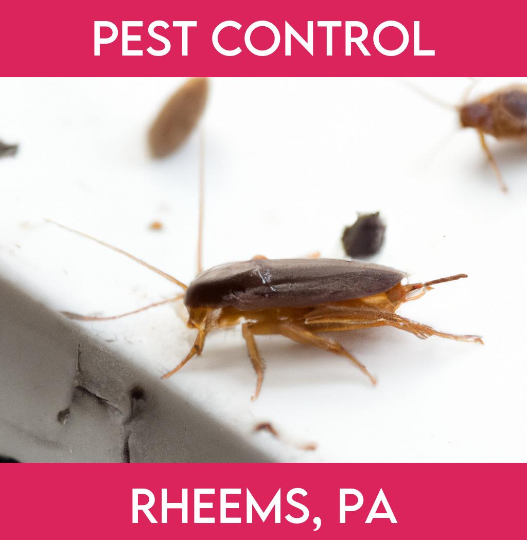 pest control in Rheems Pennsylvania