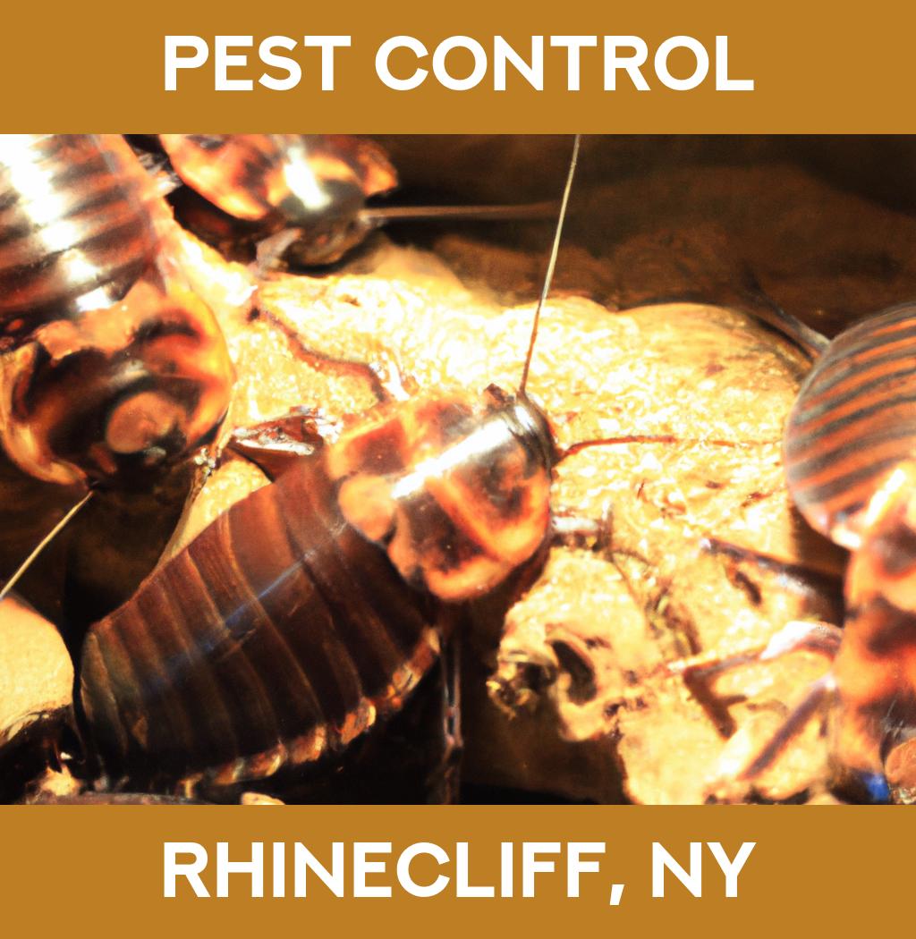 pest control in Rhinecliff New York