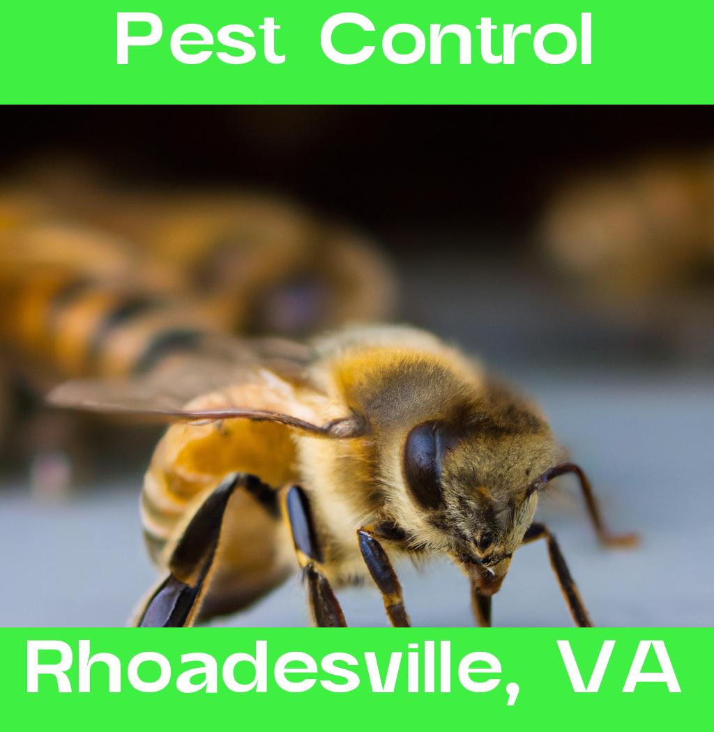 pest control in Rhoadesville Virginia