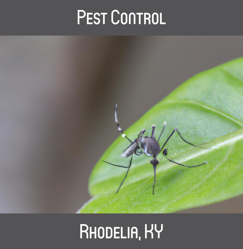 pest control in Rhodelia Kentucky