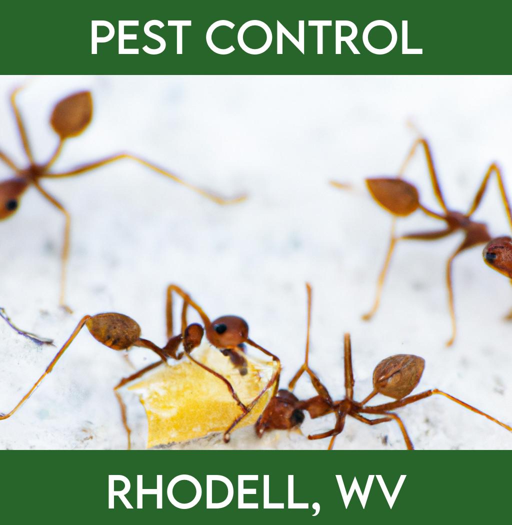 pest control in Rhodell West Virginia