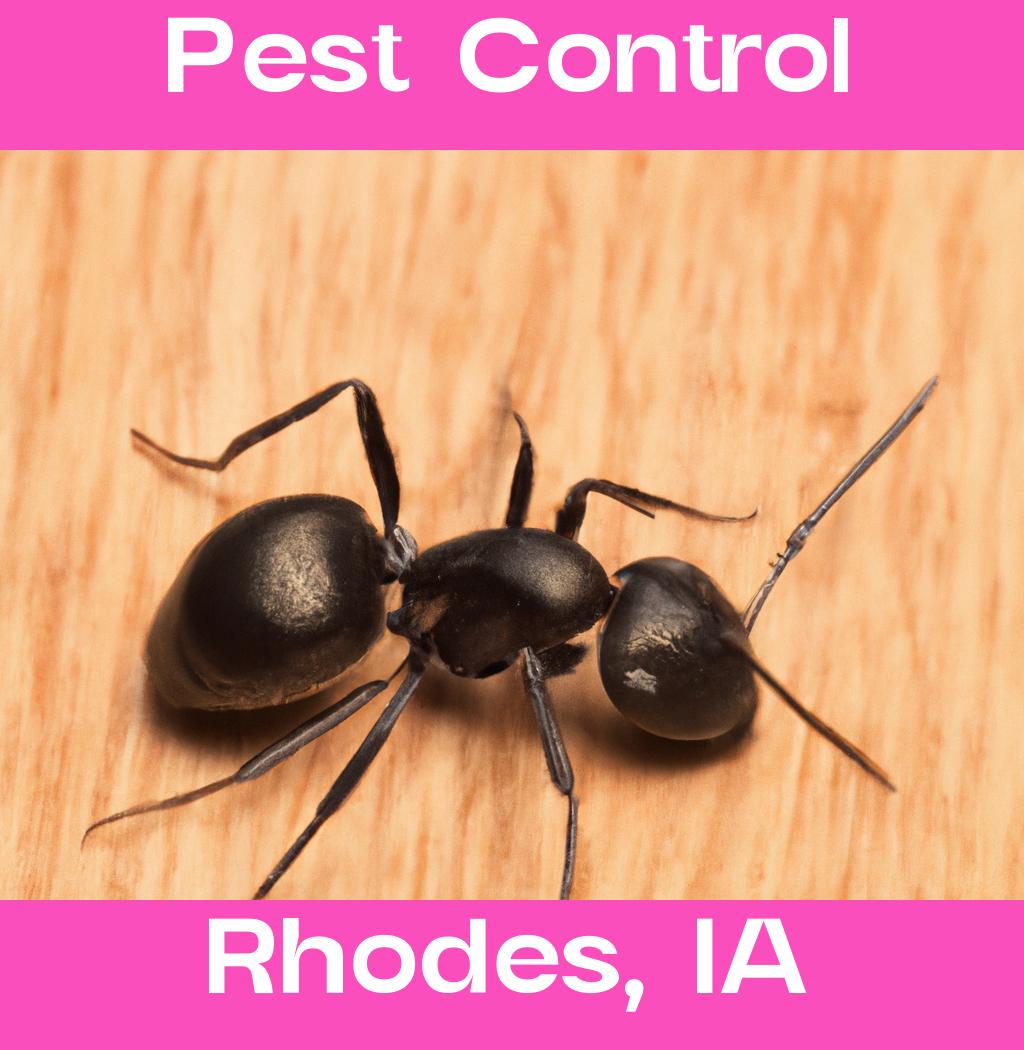 pest control in Rhodes Iowa