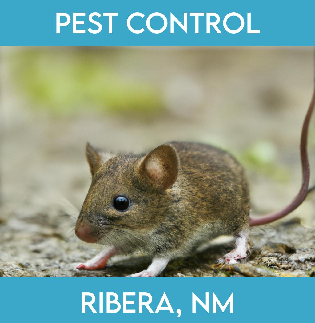 pest control in Ribera New Mexico