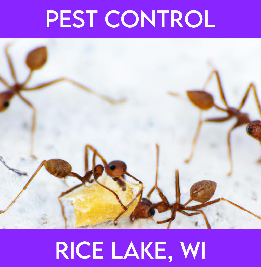 pest control in Rice Lake Wisconsin