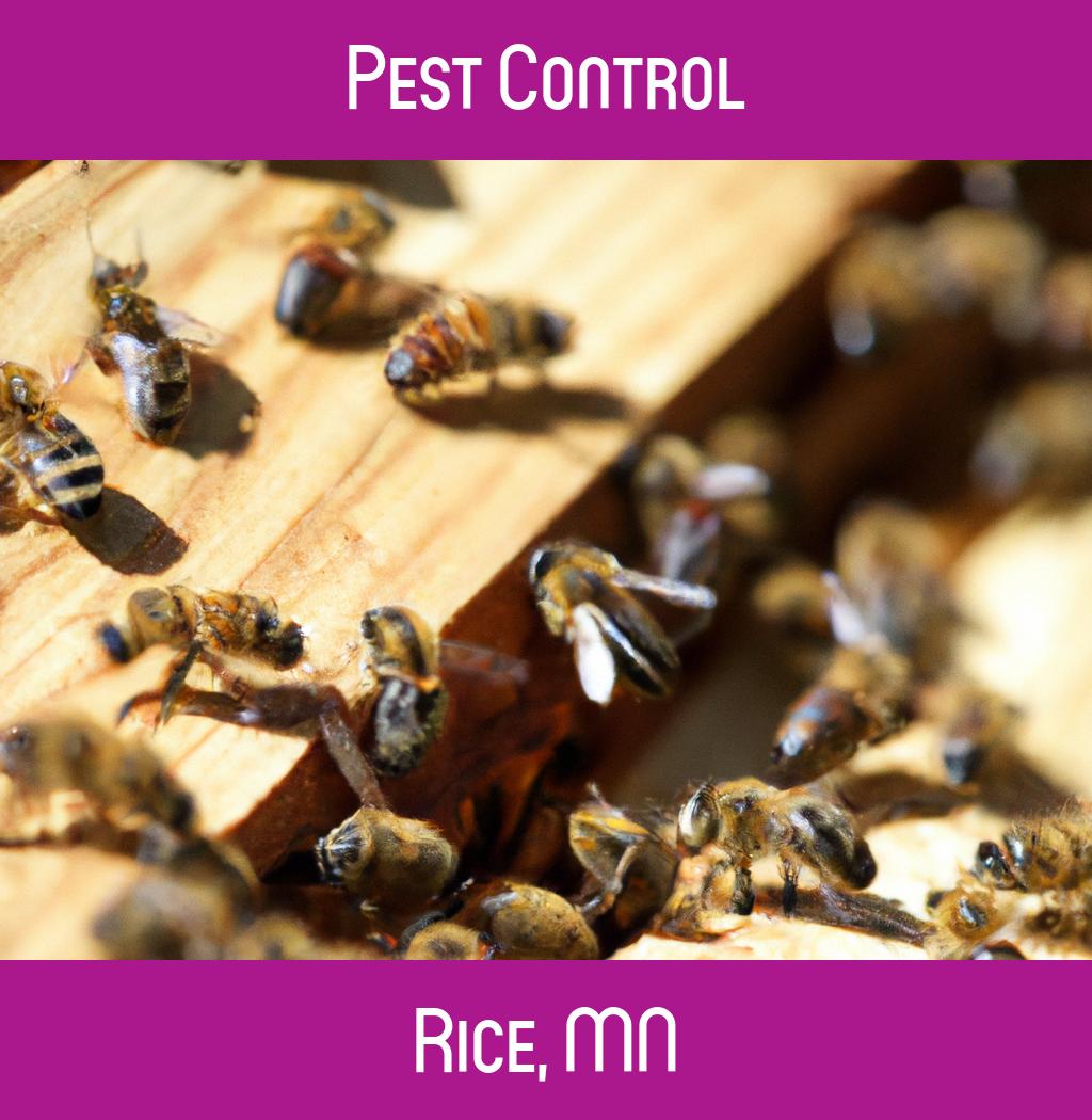 pest control in Rice Minnesota