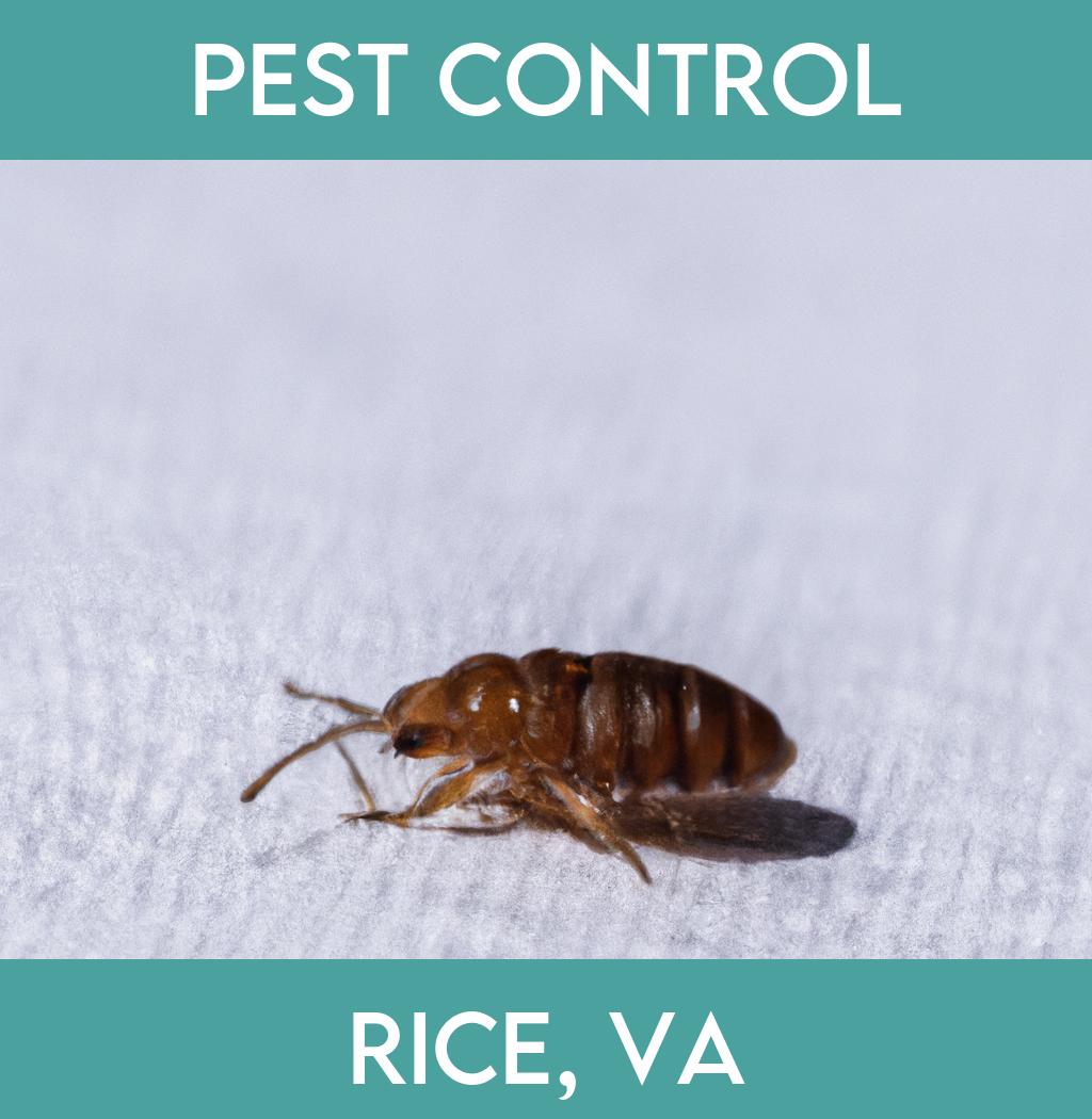 pest control in Rice Virginia