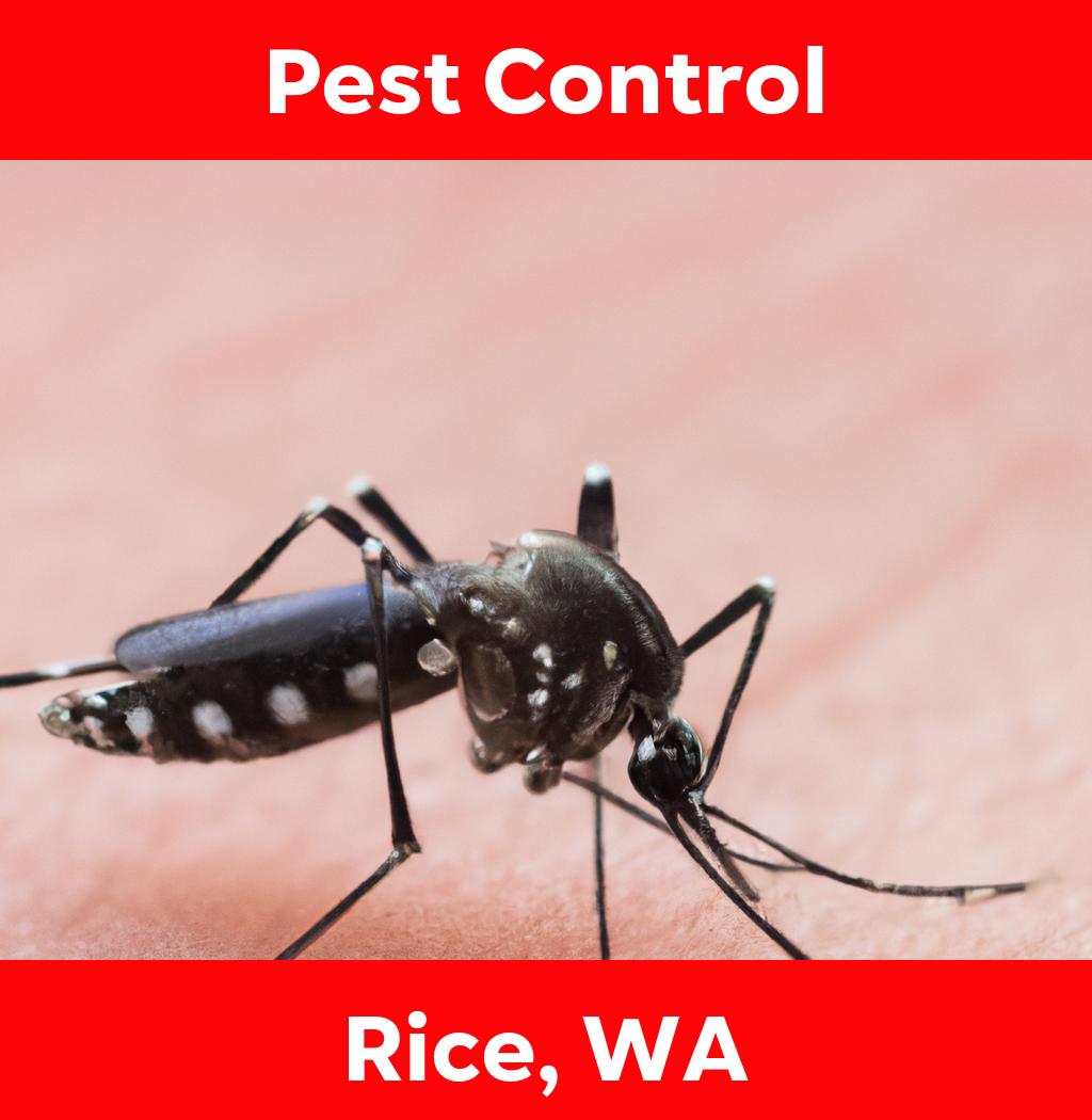 pest control in Rice Washington