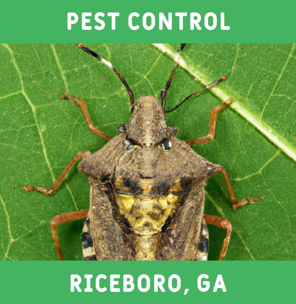 pest control in Riceboro Georgia