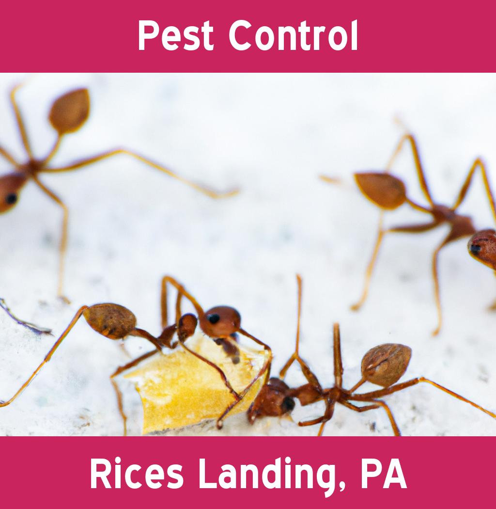pest control in Rices Landing Pennsylvania