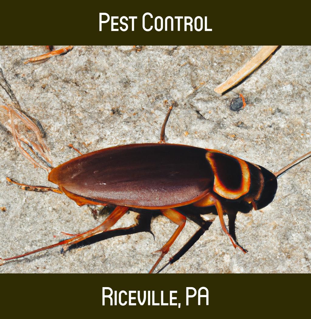 pest control in Riceville Pennsylvania