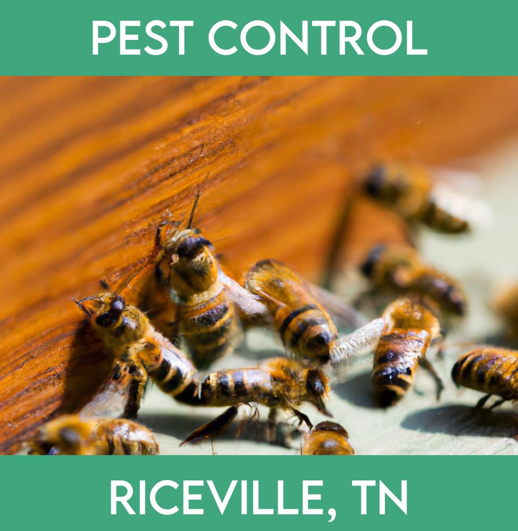 pest control in Riceville Tennessee