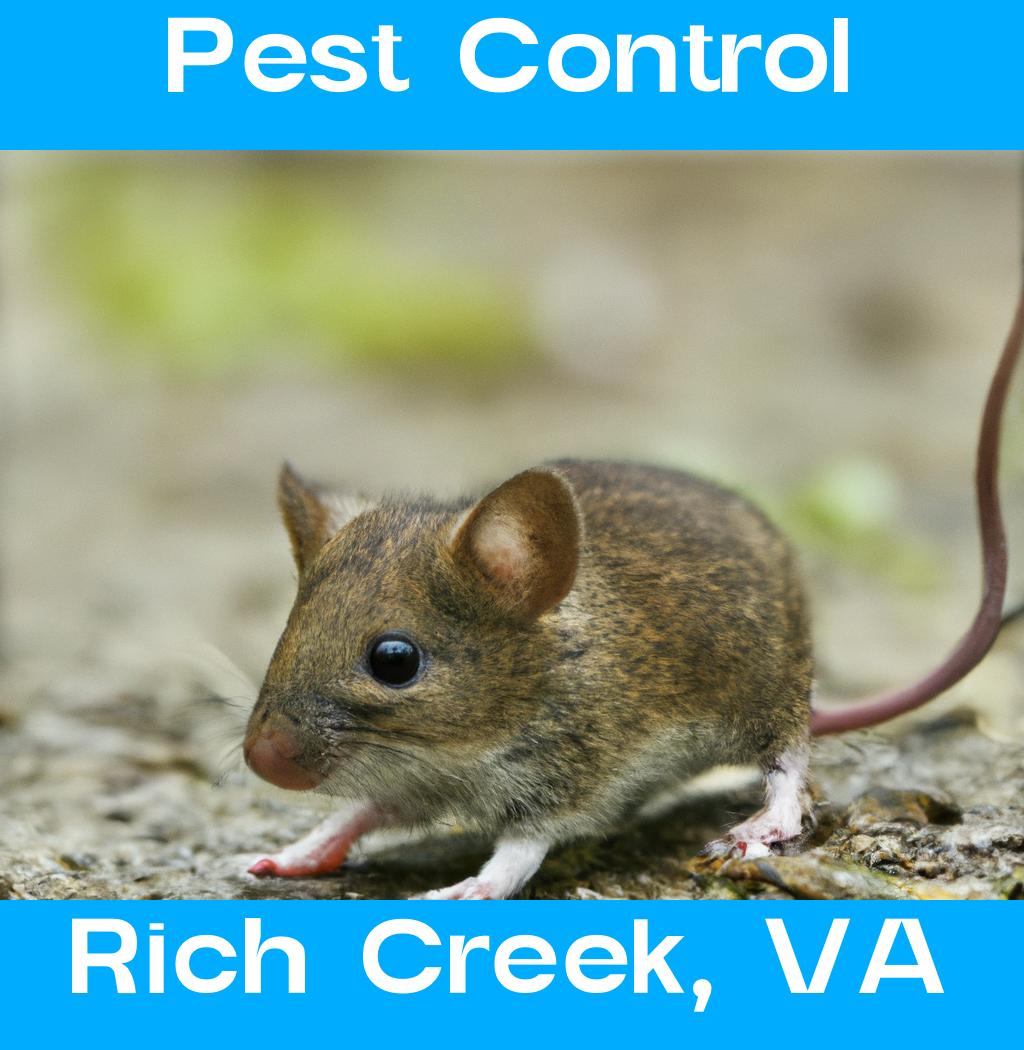 pest control in Rich Creek Virginia