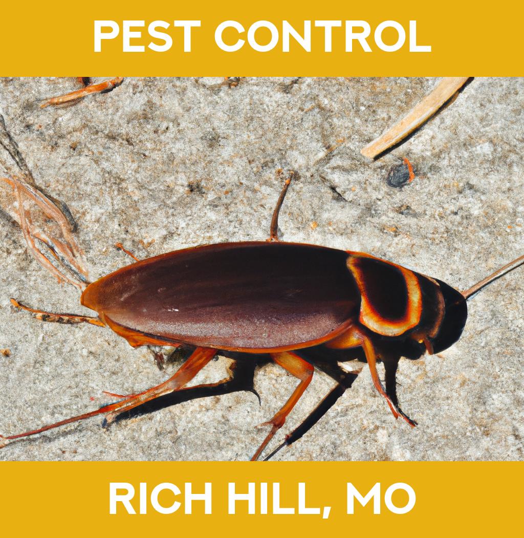 pest control in Rich Hill Missouri