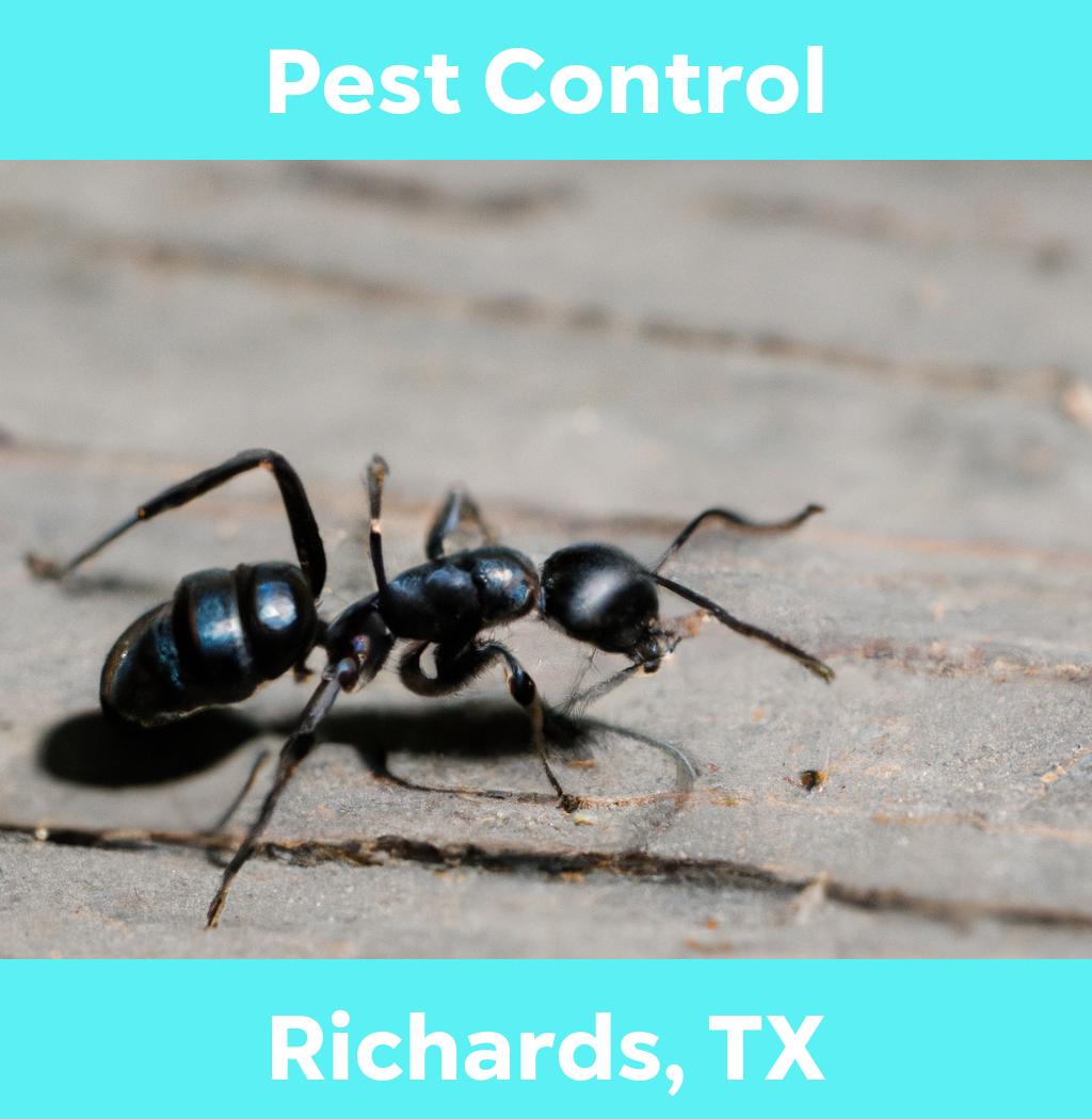 pest control in Richards Texas