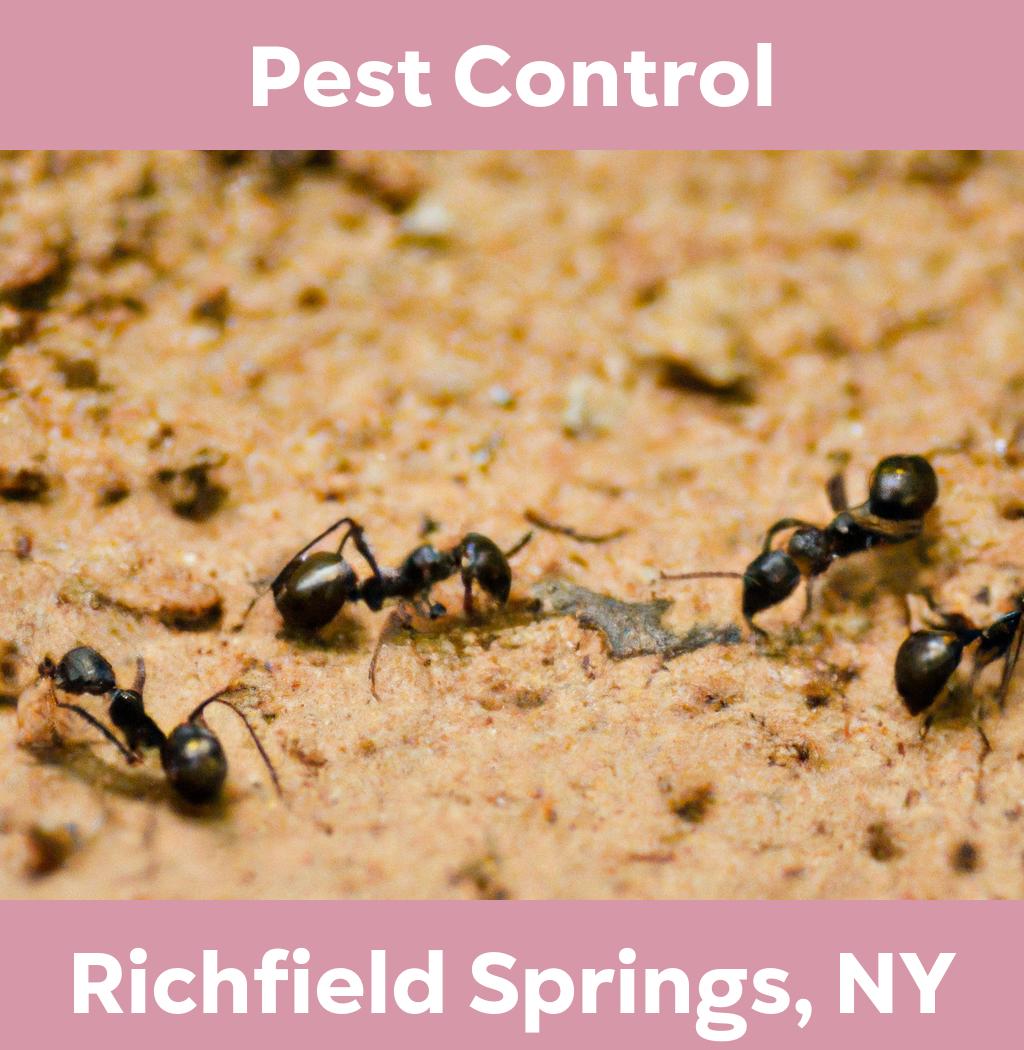 pest control in Richfield Springs New York