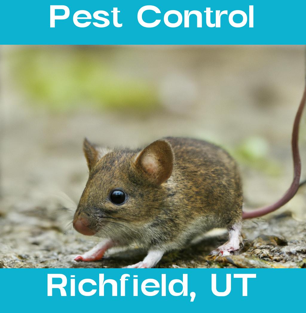 pest control in Richfield Utah