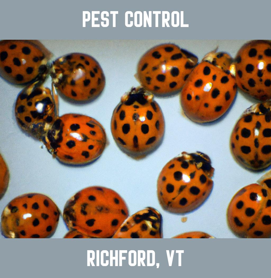 pest control in Richford Vermont