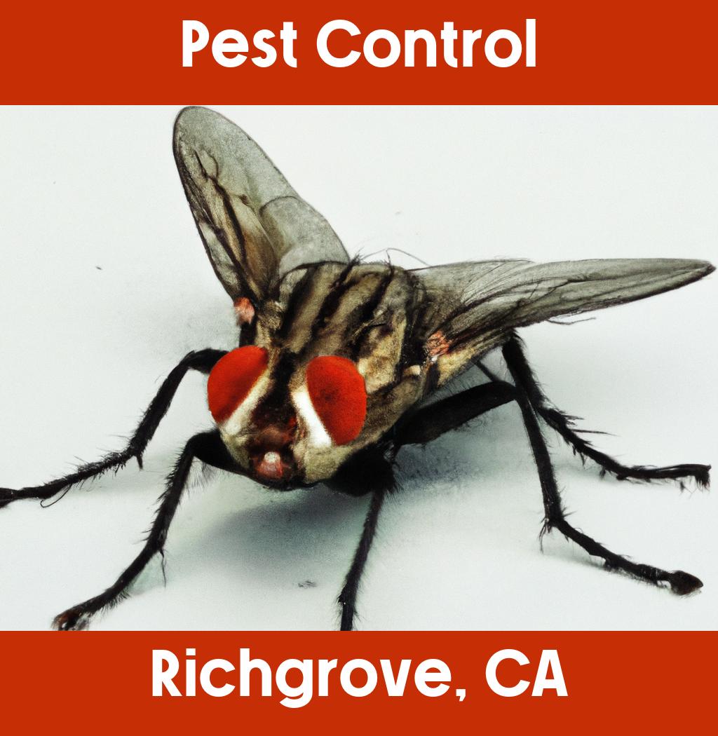 pest control in Richgrove California
