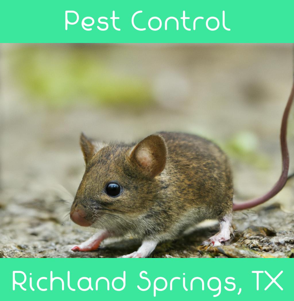 pest control in Richland Springs Texas